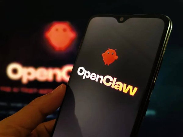 OpenClaw爆火，专家谈理想监管边界