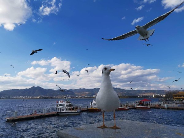 多所师范高校密集调整院系专业，河北师大撤销11个专业