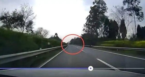 4个小孩高速路上比赛穿越？最新回应：3个男孩1个女孩，已进行安全教育