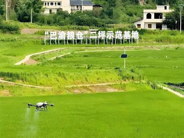 “芯农服AI”驱动：铜梁构建智慧农业“三位一体”新模式