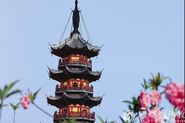 一日禅：慢慢来
