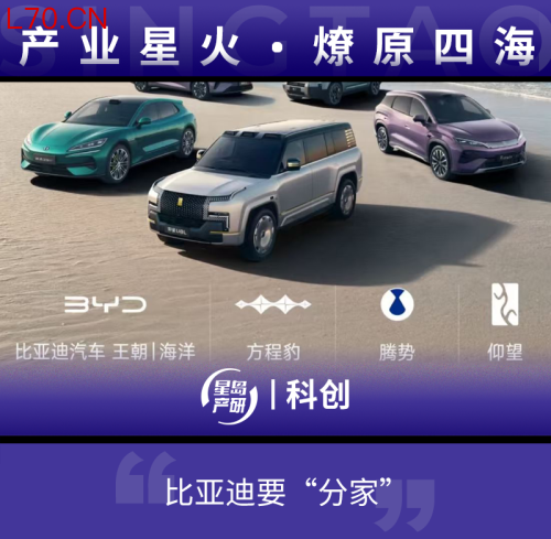 “一个吉利”在前，比亚迪却想着“分家”
