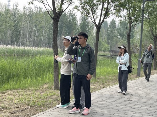 北京500余青少年齐聚野鸭湖, 观鸟比赛解锁湿地鸟儿奥秘