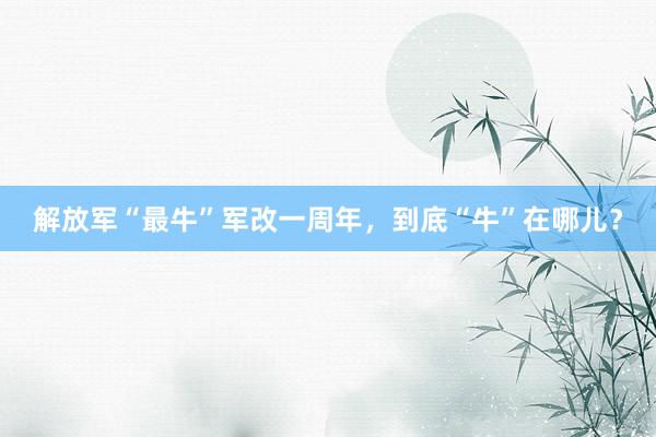 解放军“最牛”军改一周年，到底“牛”在哪儿？