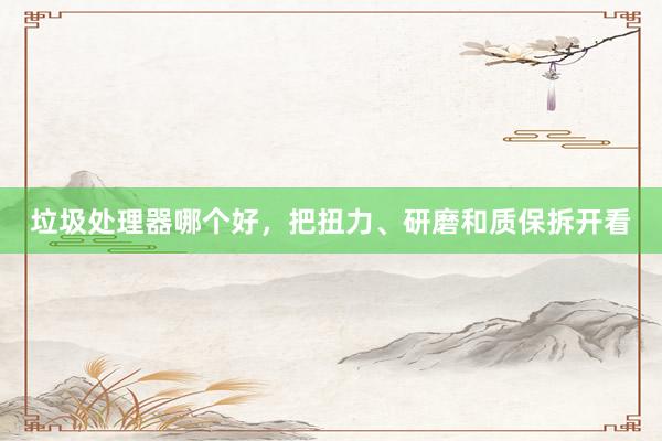 垃圾处理器哪个好，把扭力、研磨和质保拆开看