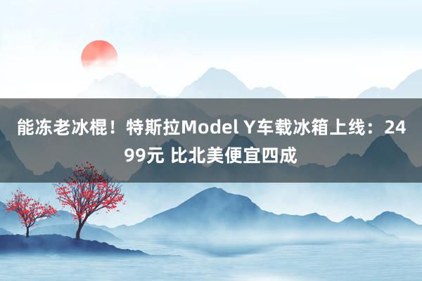能冻老冰棍！特斯拉Model Y车载冰箱上线：2499元 比北美便宜四成