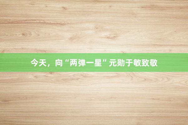 今天，向“两弹一星”元勋于敏致敬
