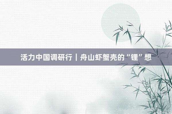 活力中国调研行｜舟山虾蟹壳的“锂”想