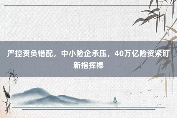严控资负错配，中小险企承压，40万亿险资紧盯新指挥棒