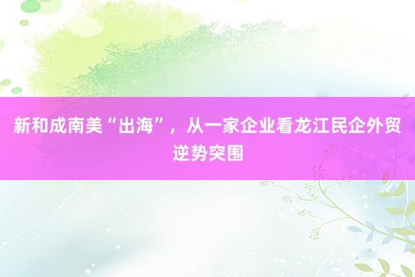 新和成南美“出海”，从一家企业看龙江民企外贸逆势突围