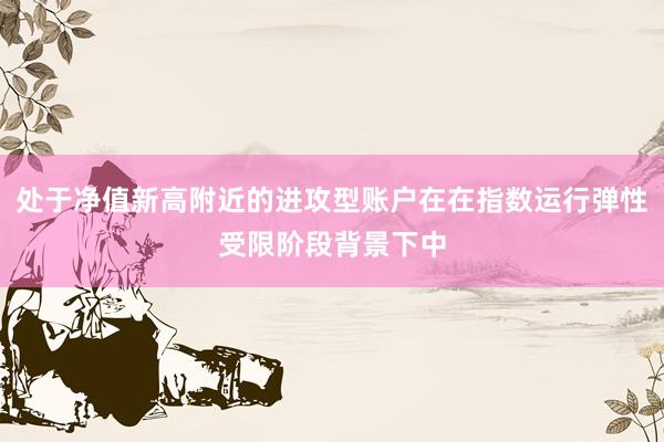 处于净值新高附近的进攻型账户在在指数运行弹性受限阶段背景下中