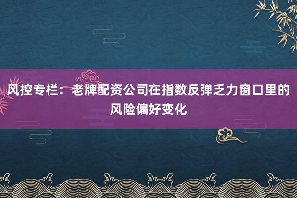 风控专栏：老牌配资公司在指数反弹乏力窗口里的风险偏好变化