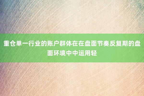 重仓单一行业的账户群体在在盘面节奏反复期的盘面环境中中运用轻