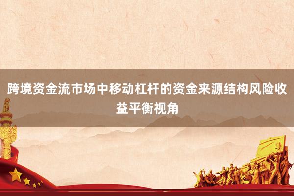 跨境资金流市场中移动杠杆的资金来源结构风险收益平衡视角