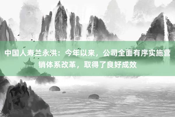 中国人寿兰永洪：今年以来，公司全面有序实施营销体系改革，取得了良好成效