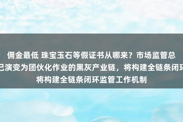 佣金最低 珠宝玉石等假证书从哪来？市场监管总局：制假售假已演变为团伙化作业的黑灰产业链，将构建全链条闭环监管工作机制