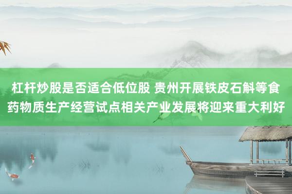 杠杆炒股是否适合低位股 贵州开展铁皮石斛等食药物质生产经营试点相关产业发展将迎来重大利好
