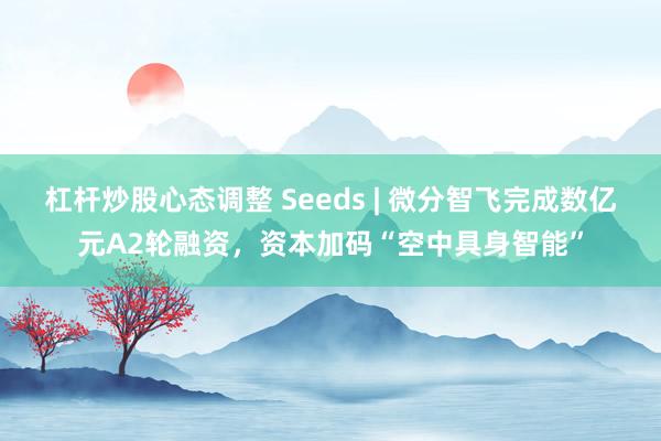 杠杆炒股心态调整 Seeds | 微分智飞完成数亿元A2轮融资，资本加码“空中具身智能”