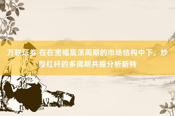 万联证券 在在宽幅震荡周期的市场结构中下，炒股杠杆的多周期共振分析新特