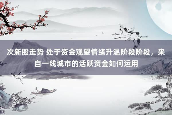 次新股走势 处于资金观望情绪升温阶段阶段，来自一线城市的活跃资金如何运用