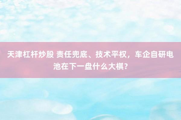 天津杠杆炒股 责任兜底、技术平权，车企自研电池在下一盘什么大棋？