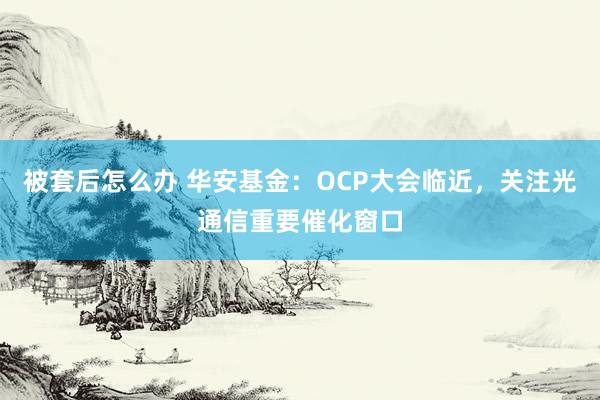 被套后怎么办 华安基金：OCP大会临近，关注光通信重要催化窗口